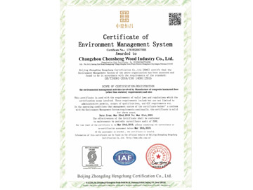 ISO14001英文